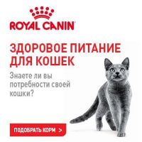 Royal Canin